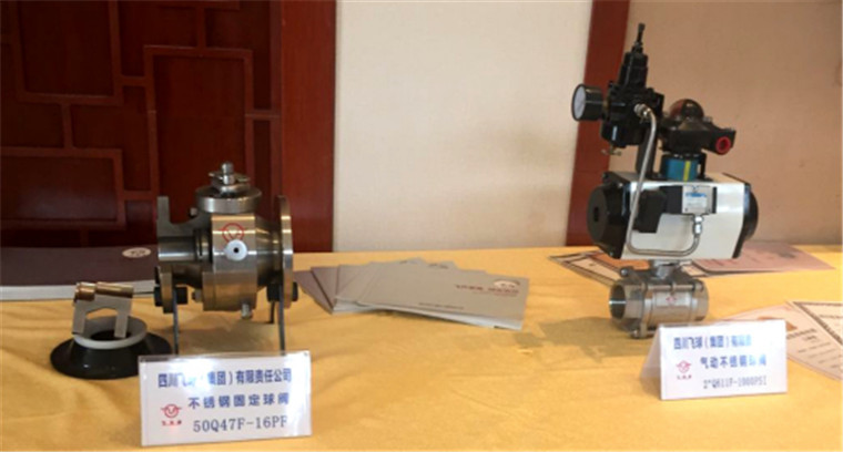 飞球公司成为川南节能环保产业联盟成员单位-3836.jpg