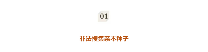 屏幕截图 2025-11-21——1.png